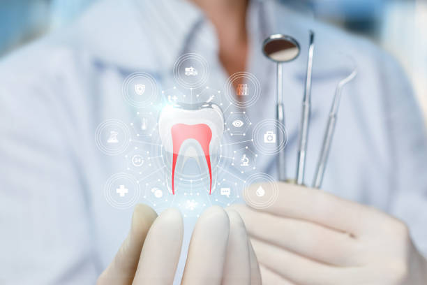 Best Pediatric Dentistry  in New Milford, NJ